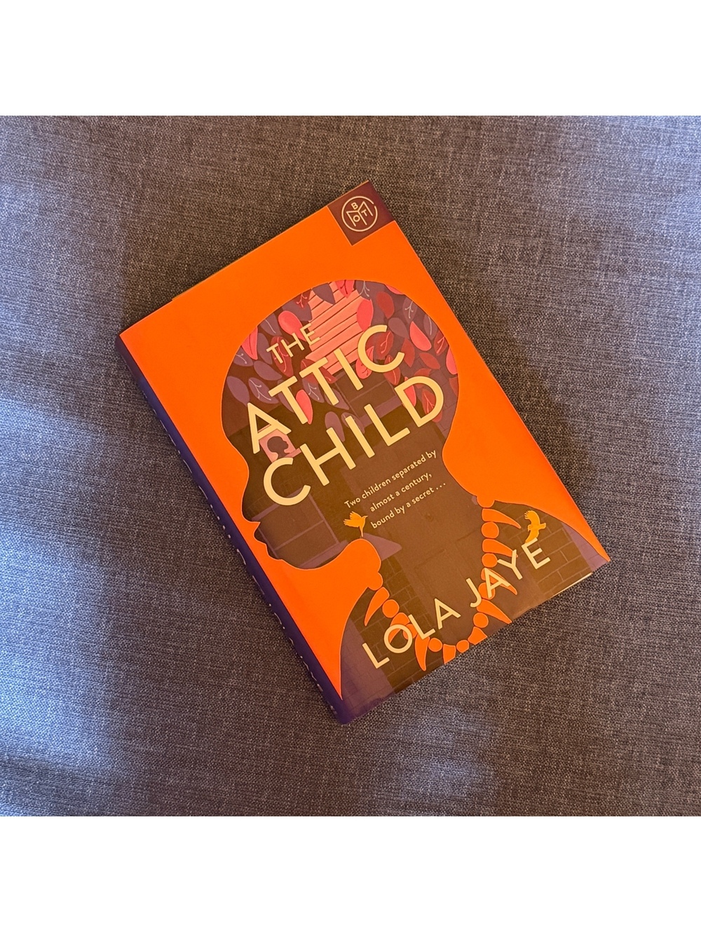 The Attic Child Hardcover - Book of the Month